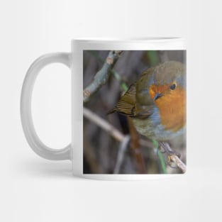 Fluffed up Robin Mug